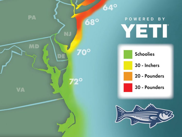 Striper Migration Map 06-17-2022
