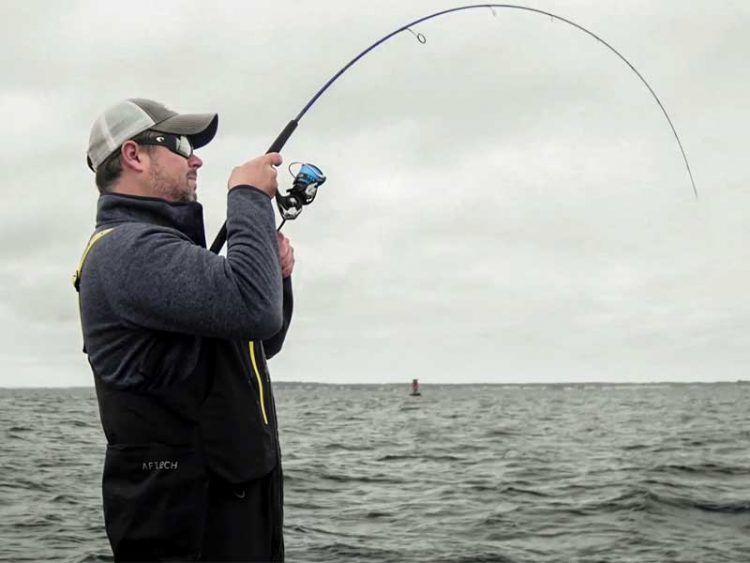 AFTCO Barricade Elite