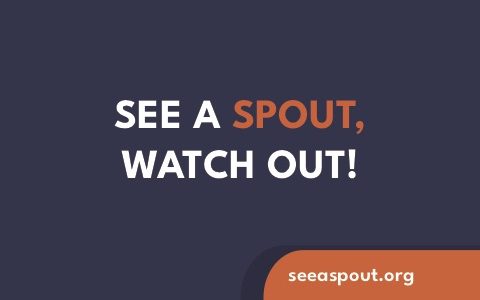 Online Course: Improve Boater Safety Around Whales