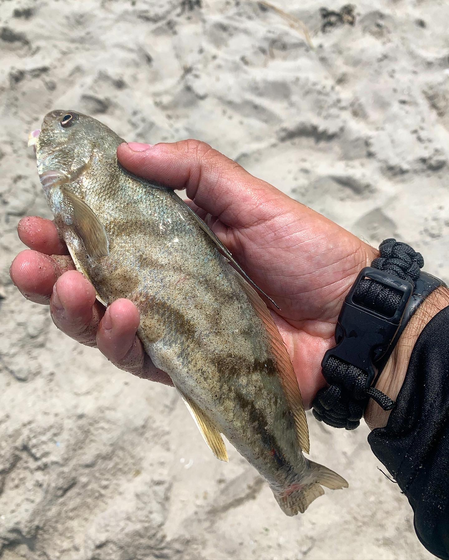 South Jersey Fishing Report July 21, 2022 On The Water