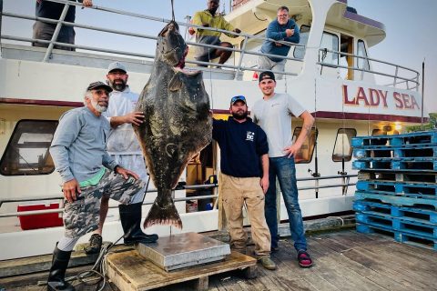 160-pound Halibut Caught off Gloucester, MA