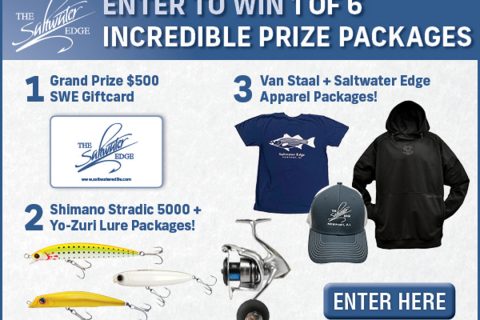 Saltwater Edge Giveaway