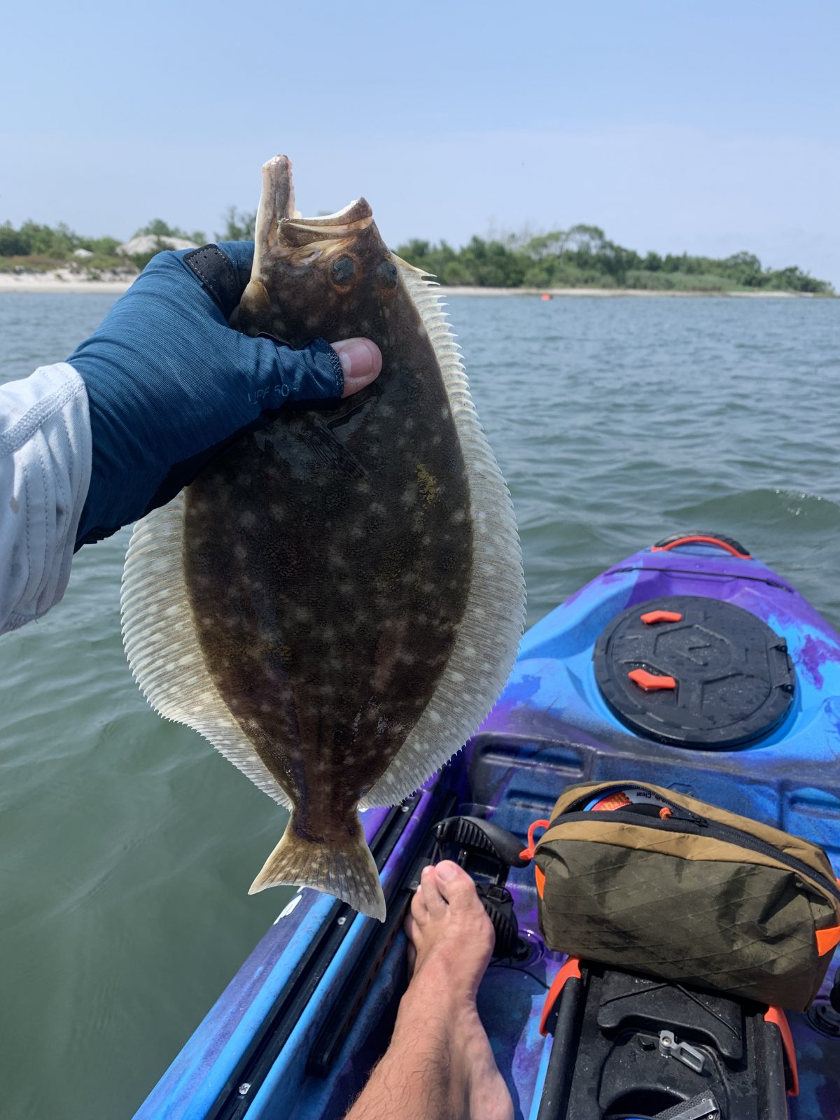 Western Long Island & NYC Fishing Report August 11, 2022 On The Water