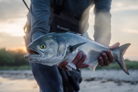 Surfcasting with Metal Lures