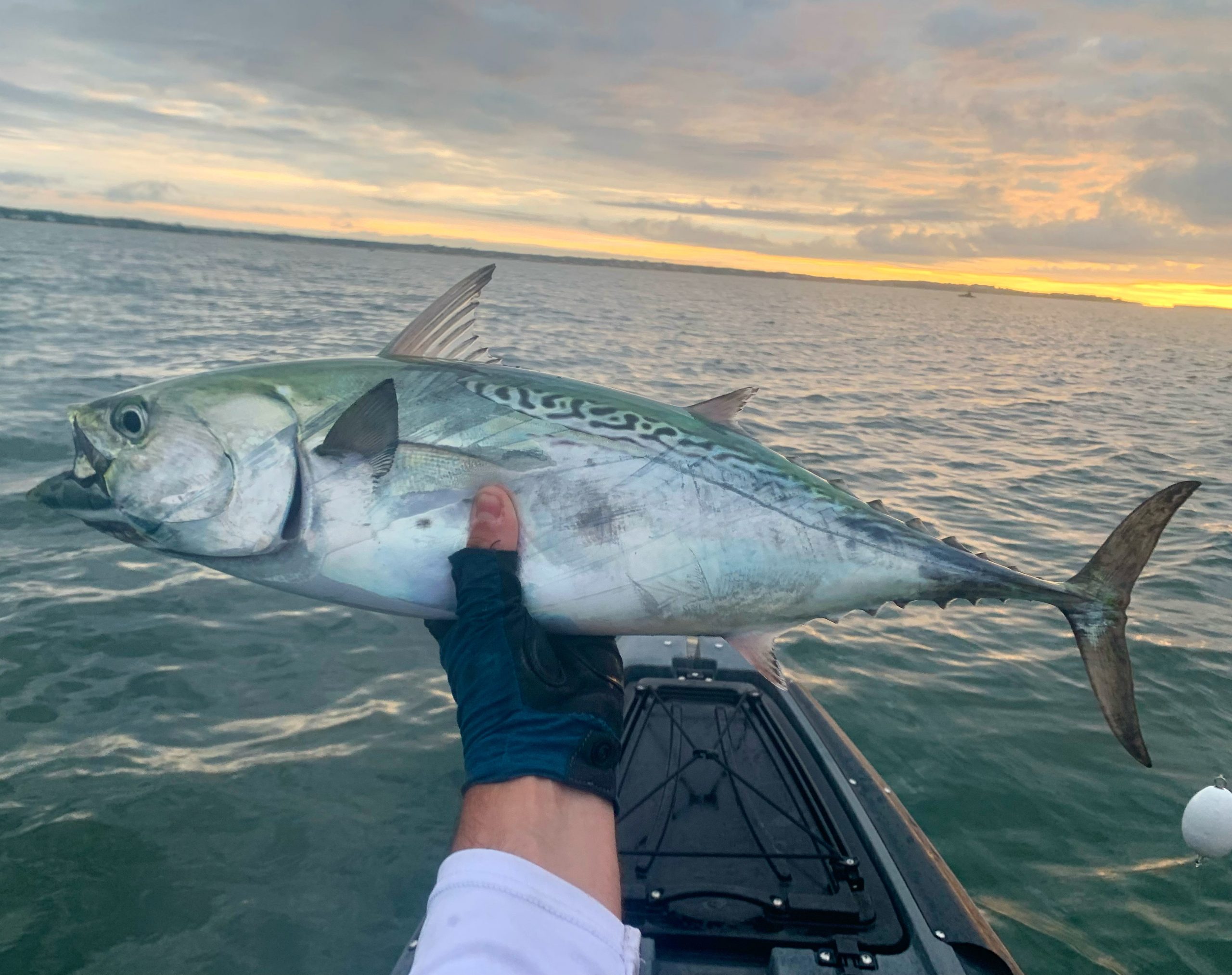 Cape Cod Fishing Report- September 22, 2022 - On The Water