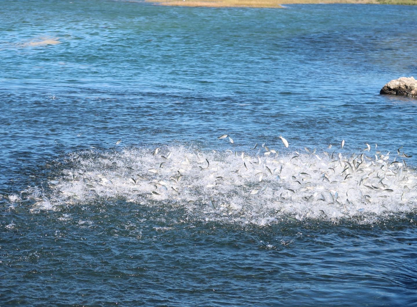 Cape Cod Fishing Report- September 29, 2022 - On The Water