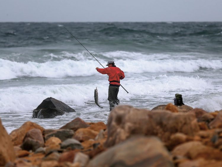 Rocky beach striped bass