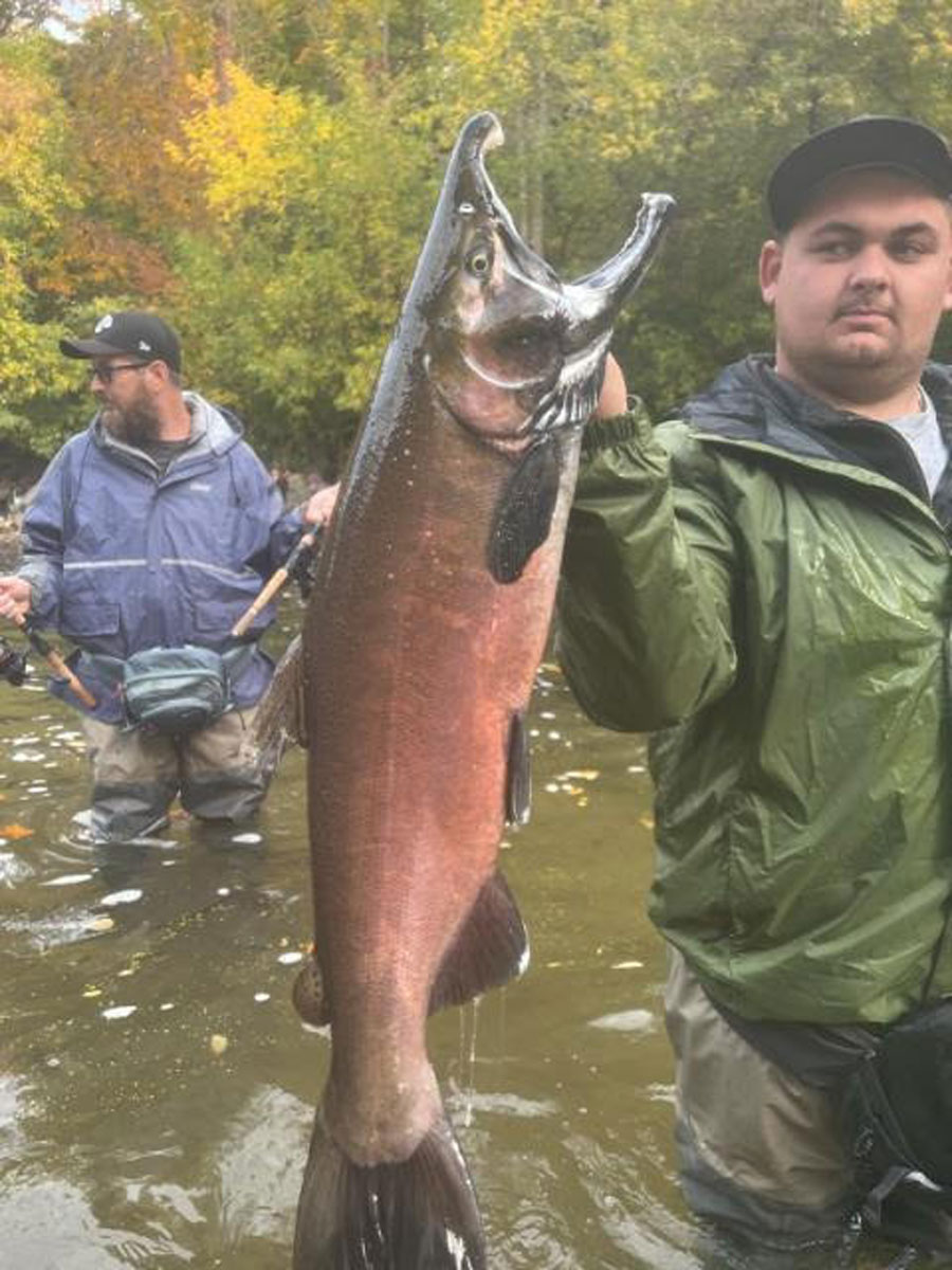 Ron Wells coho salmon