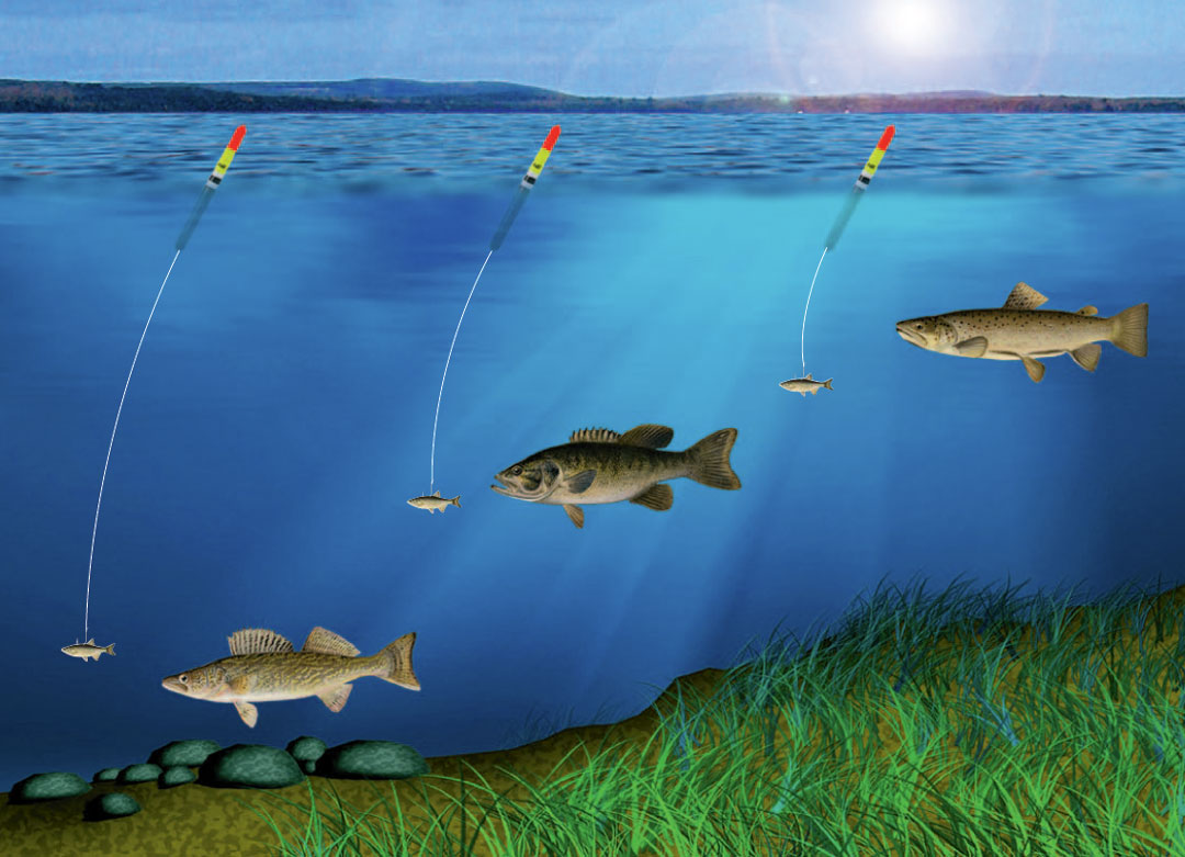 Bobber Fishing: The Slip Bobber Rig - FISHING - Rambling Angler