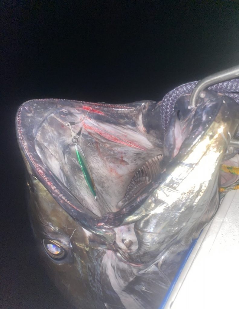Giant Bluefin Tuna Caught on Slow Pitch Jigging Tackle On The Water