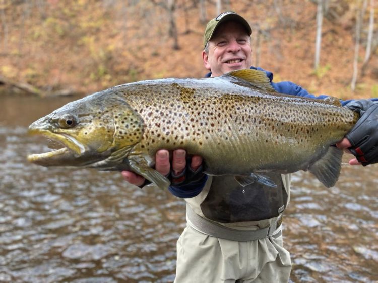 Jonathan Halpert brown trout