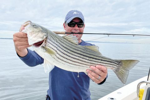 Raritan Bay striper on the fly
