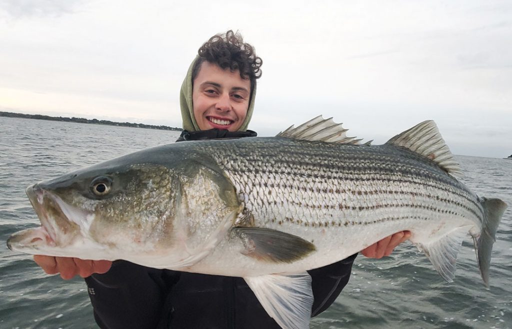 LI Sound striped bass