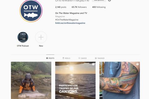 Our Most Popular Instagram Posts of 2022