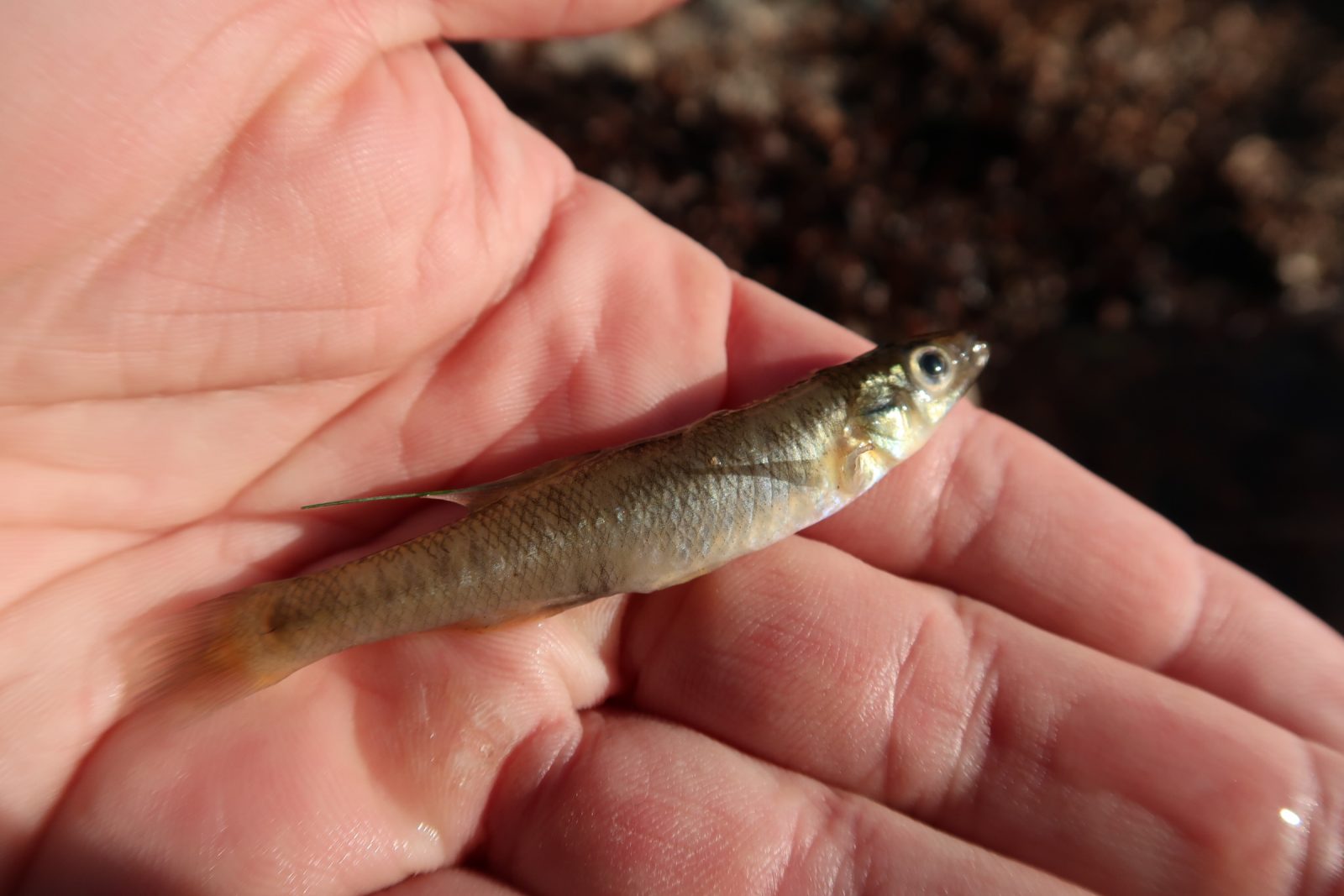 Cape Cod Fishing Report- December 29, 2022 - On The Water