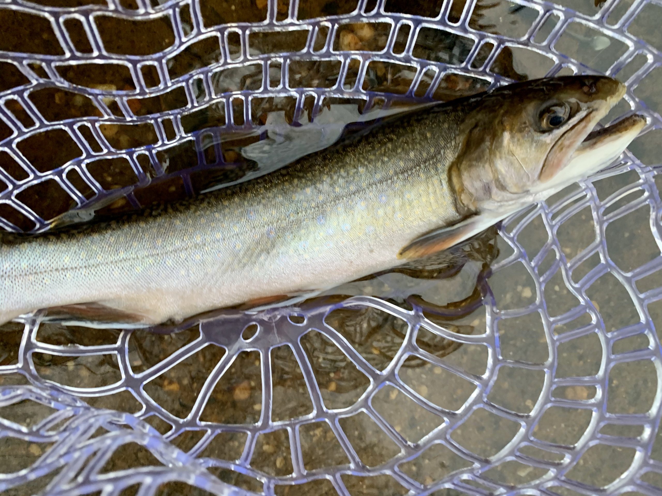 Rhode Island Fishing Report- January 26, 2023 - On The Water