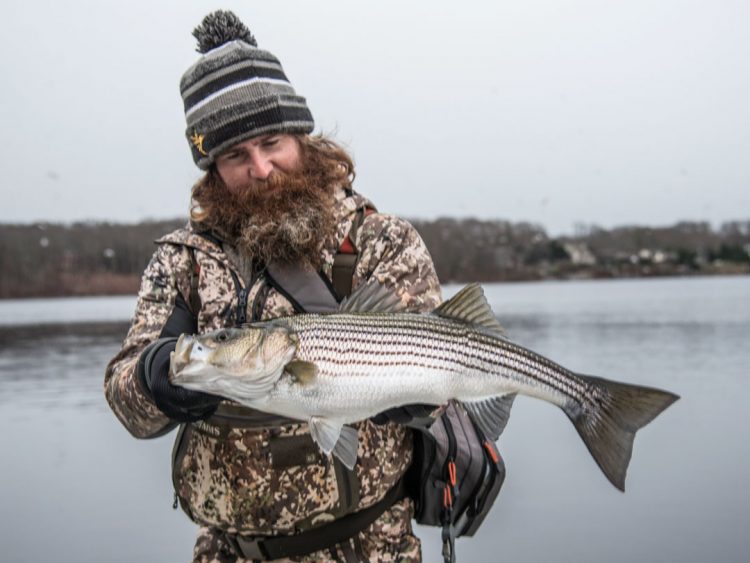 Rob Taylor with winter striped bass