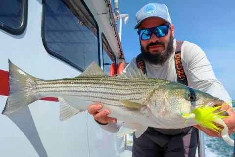 striper pulled from The Race