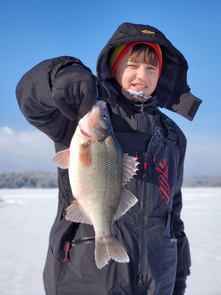 Winnipesaukee white perch