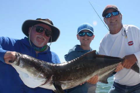 Cobia Road Trip