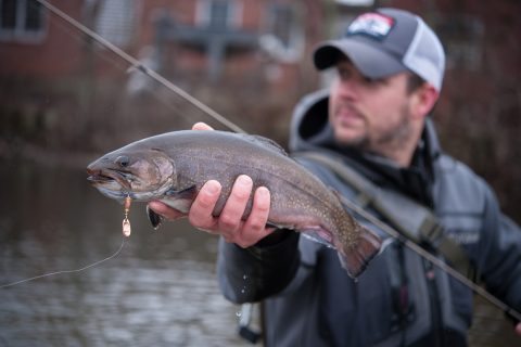 Five Essential Spinners for Trout