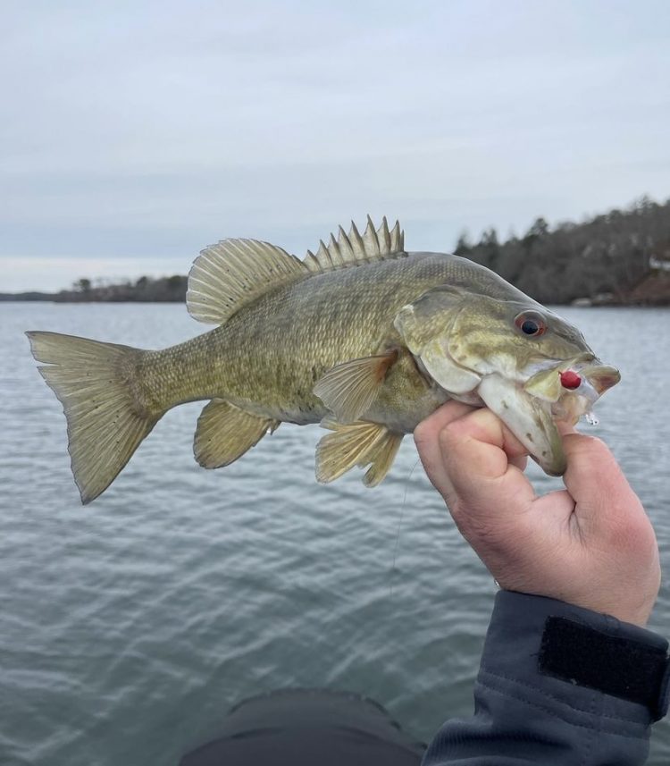 Cape Cod Fishing Report- February 2, 2023 - On The Water