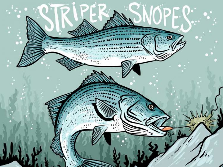 Striper Snopes