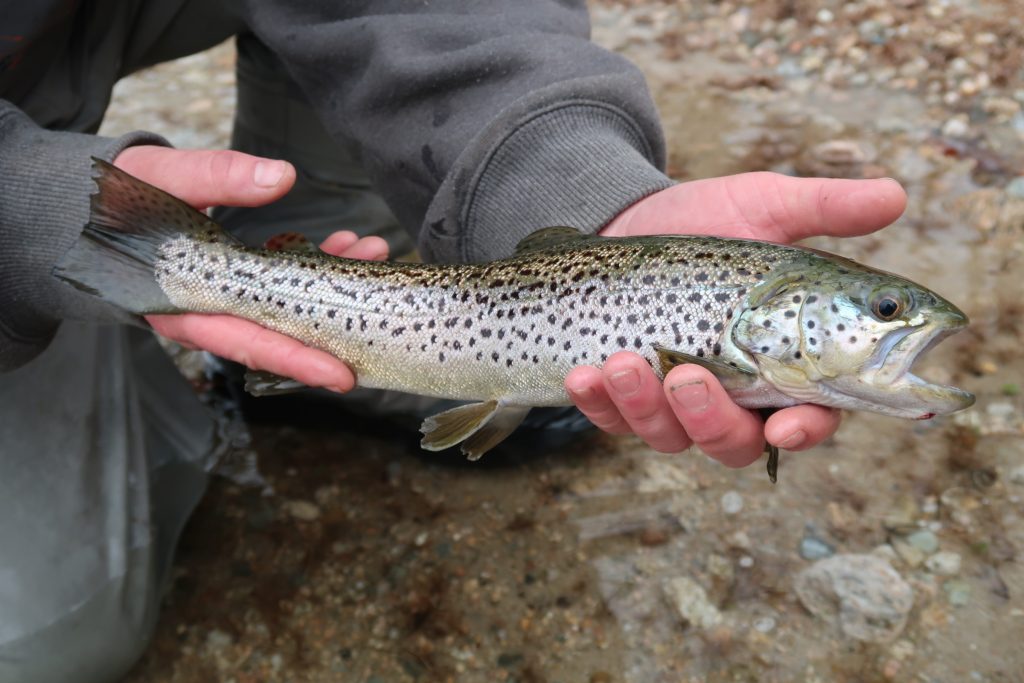 Connecticut Fishing Report- March 2026