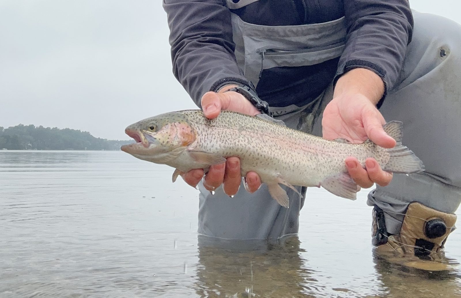 Fishing Soft Plastics for Trout On The Water