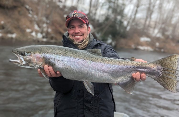 steelhead