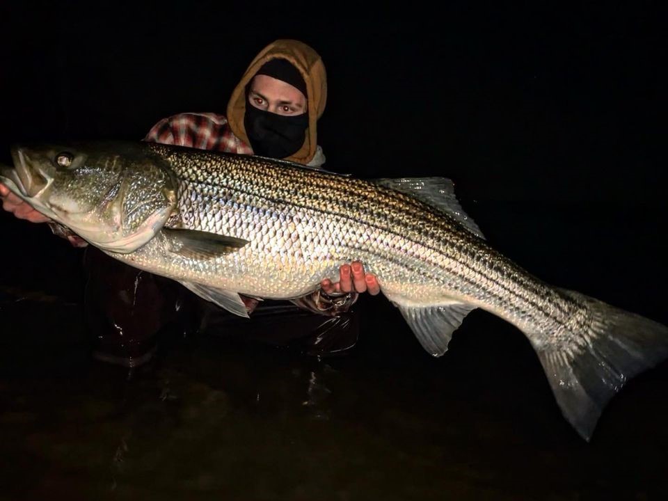 New Jersey's striped bass season opens with nice catches