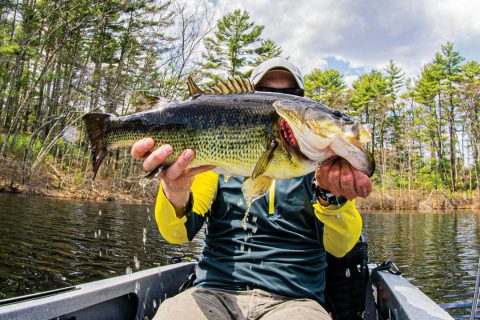 big largemouth on ultralight gear
