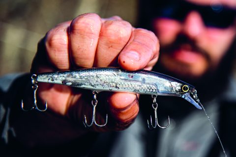 Choose the Right Jerkbait for Spring Bass Fishing