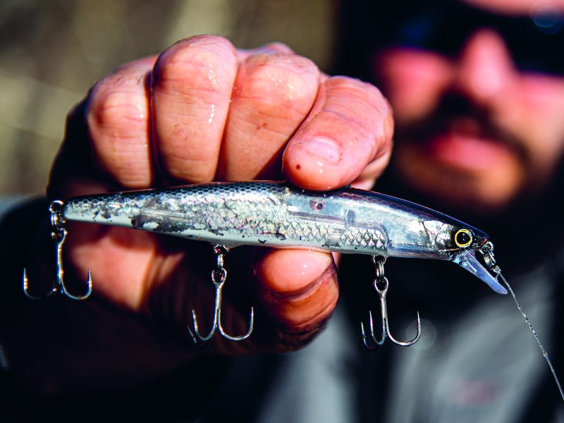 Featured Lure: Shimano World Minnow 115 - On The Water
