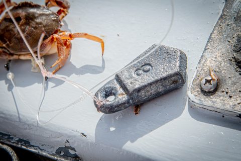 Sinker Guide for Northeast Bottom Fishing