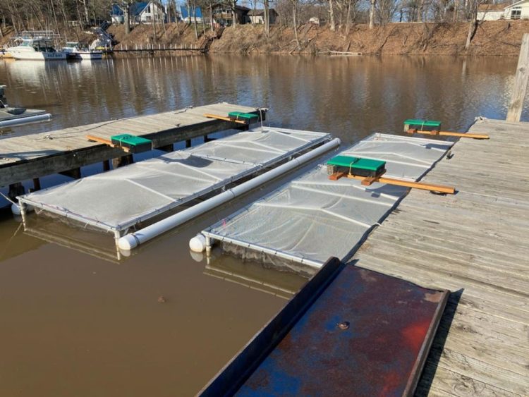 Upstate and Western New York Fishing Report- April 13, 2023 - On The Water