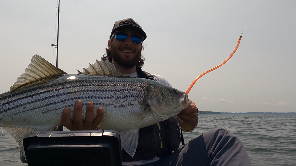 Western Long Island and NYC Fishing Report May 25, 2023 On The Water