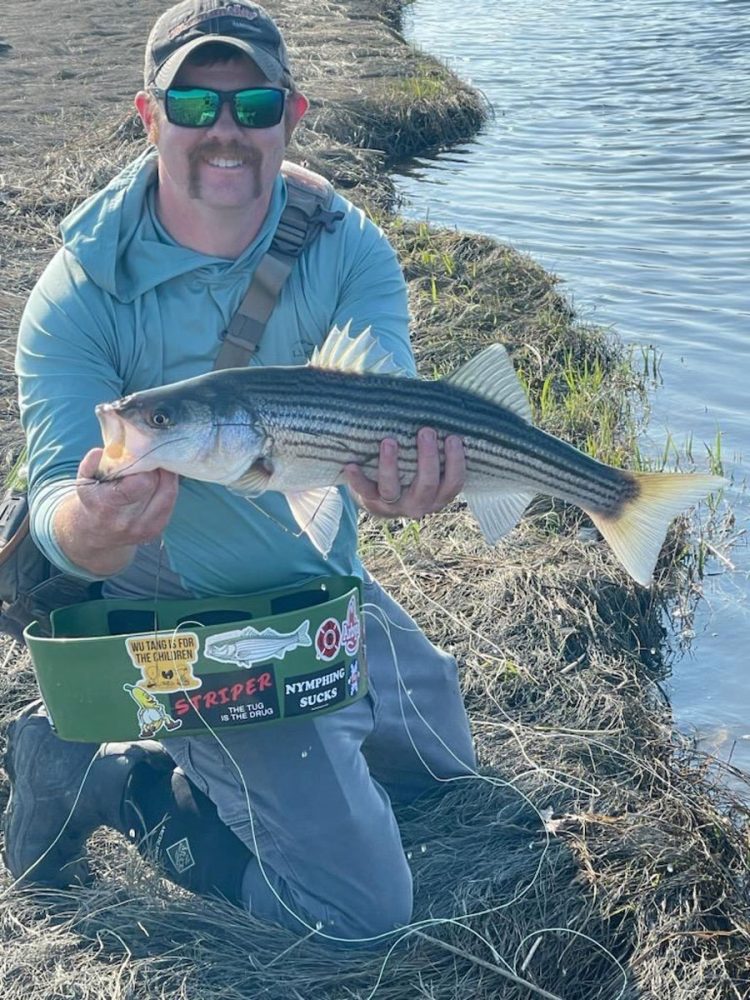 Halle Fitzgerald striped bass
