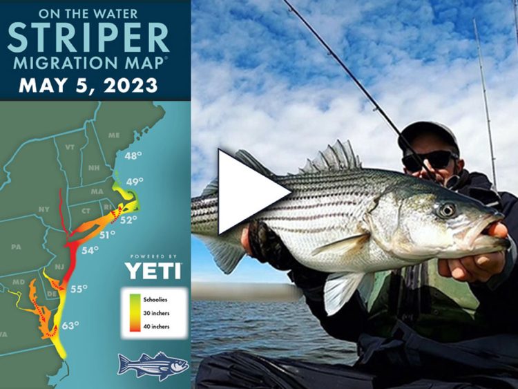Striper Migration Report | May 5, 2023