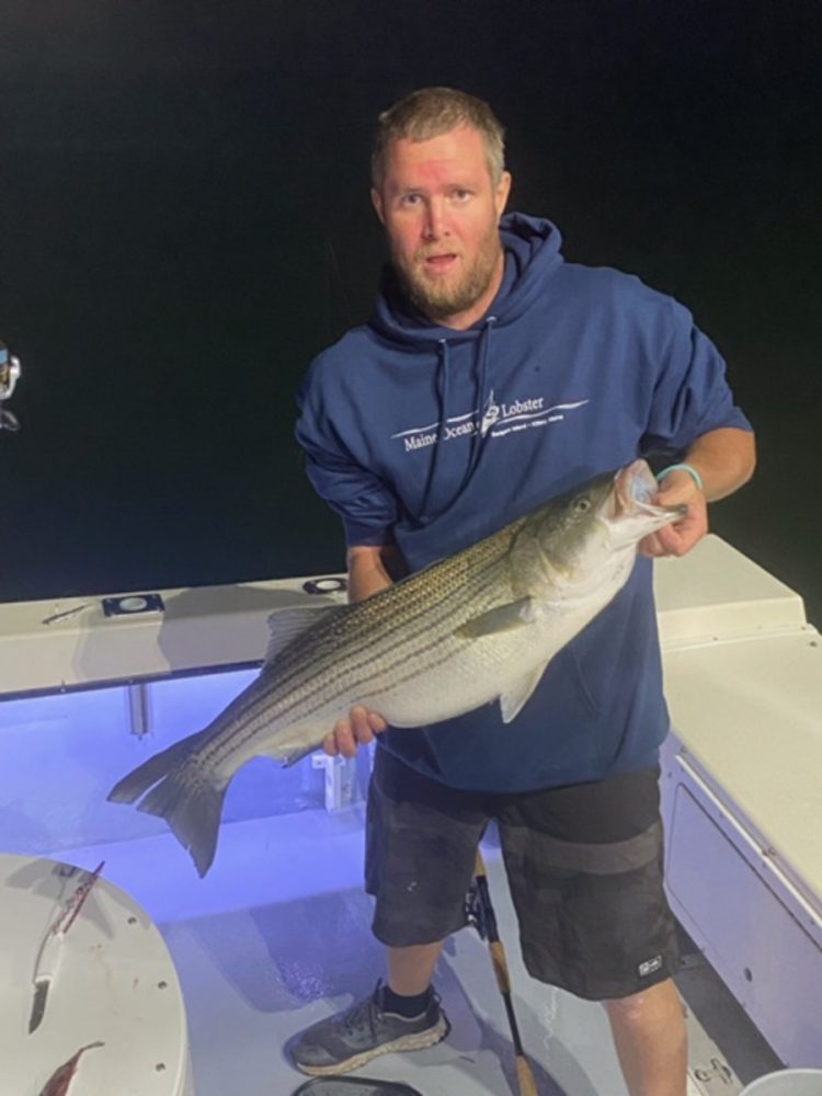 Adventureandcatch Charters striped bass