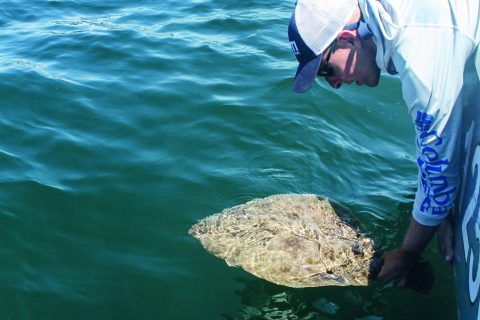 NYSDEC Requests Feedback on Recreational Summer Flounder and Scup Regulations