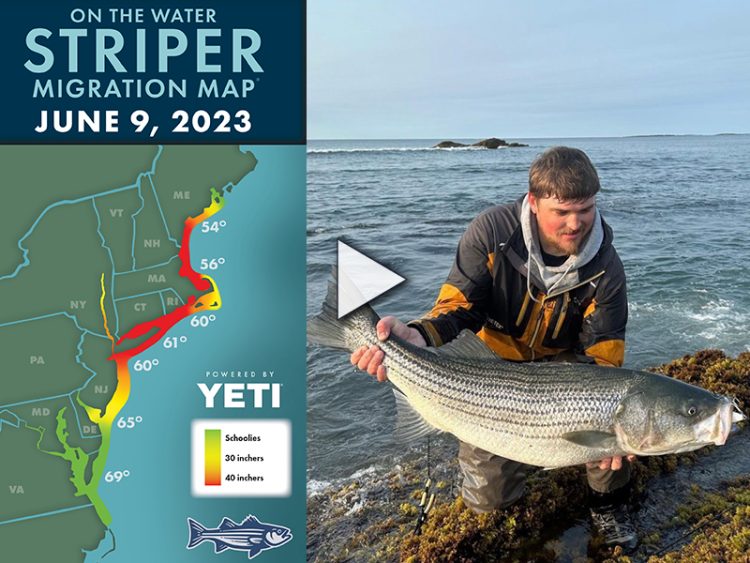 Striper Migration Map On The Water