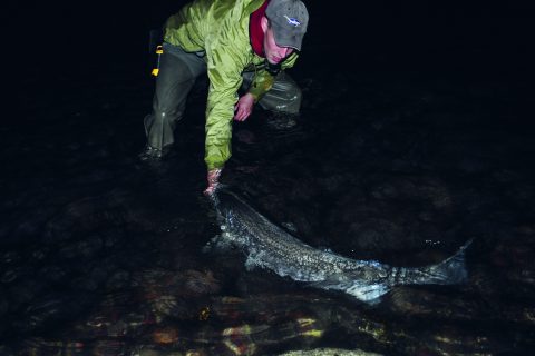 Don&rsquo;t Slack Off at Slack Tide