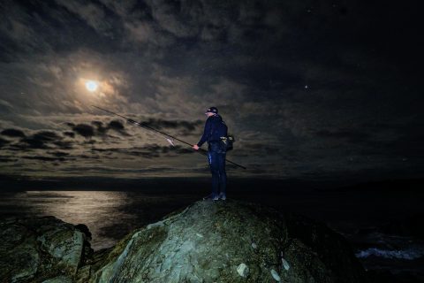 Reasons to Keep a Fishing Log