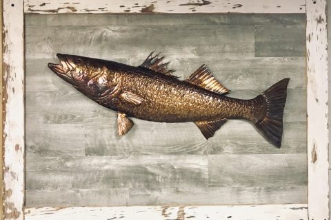 Angling Artist: Joe Pizzolato