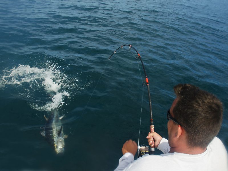 Light-Tackle Bluefin Tuna Fishing - On The Water