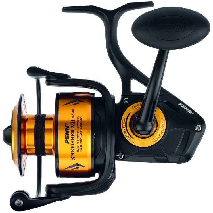 Best Fishing Reels 2024 - Forbes Vetted