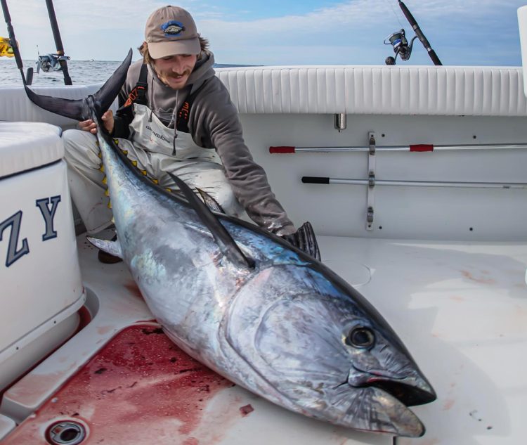 Woozy Fishing bluefin