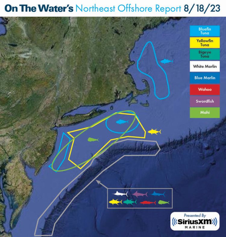 Northeast Offshore Fishing Report - August 18, 2023 - On The Water