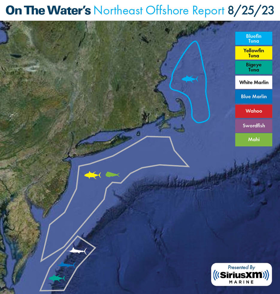 Northeast Offshore Fishing Report - August 25, 2023 - On The Water